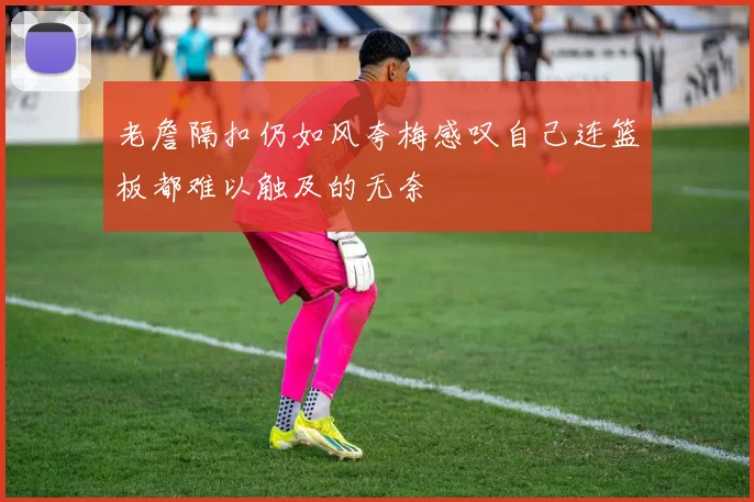 老詹隔扣仍如风夸梅感叹自己连篮板都难以触及的无奈